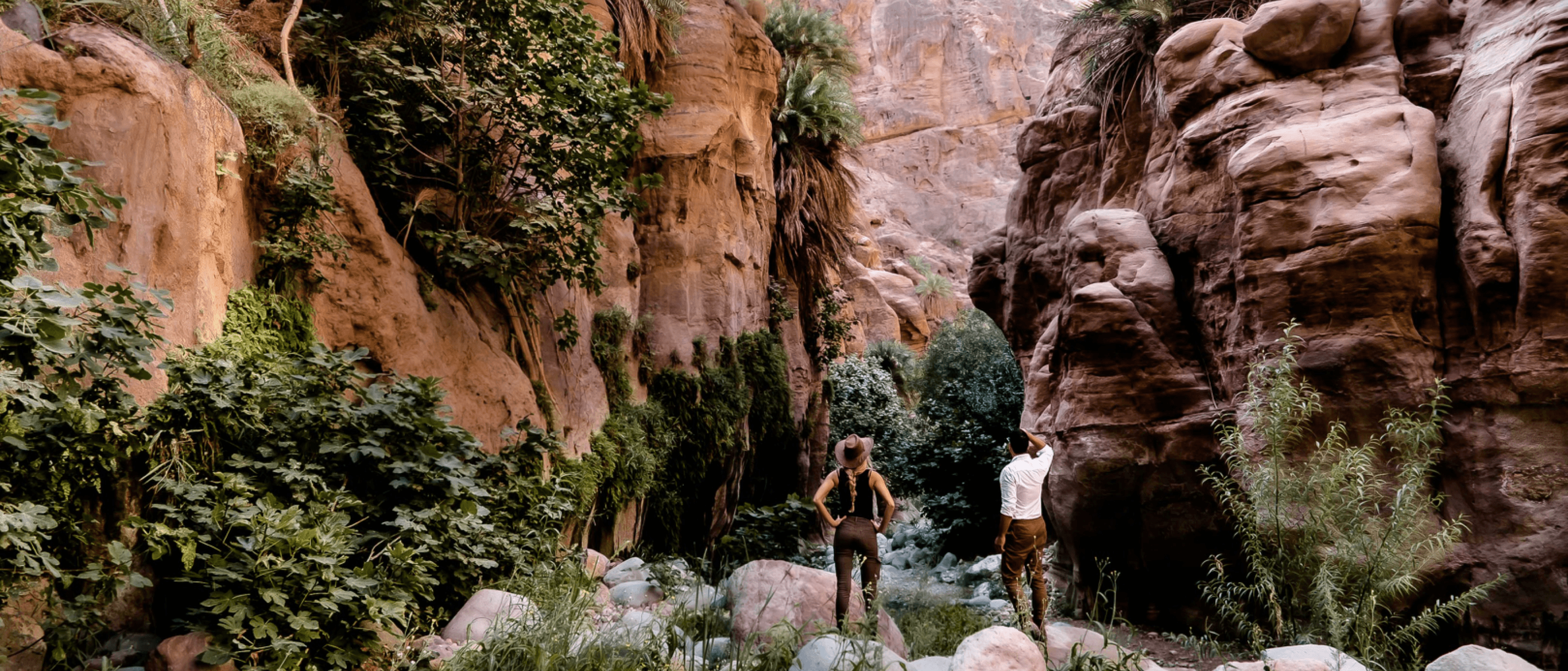 Wadi Ghuweir Hike. Wandel door een oase in Jordanië.