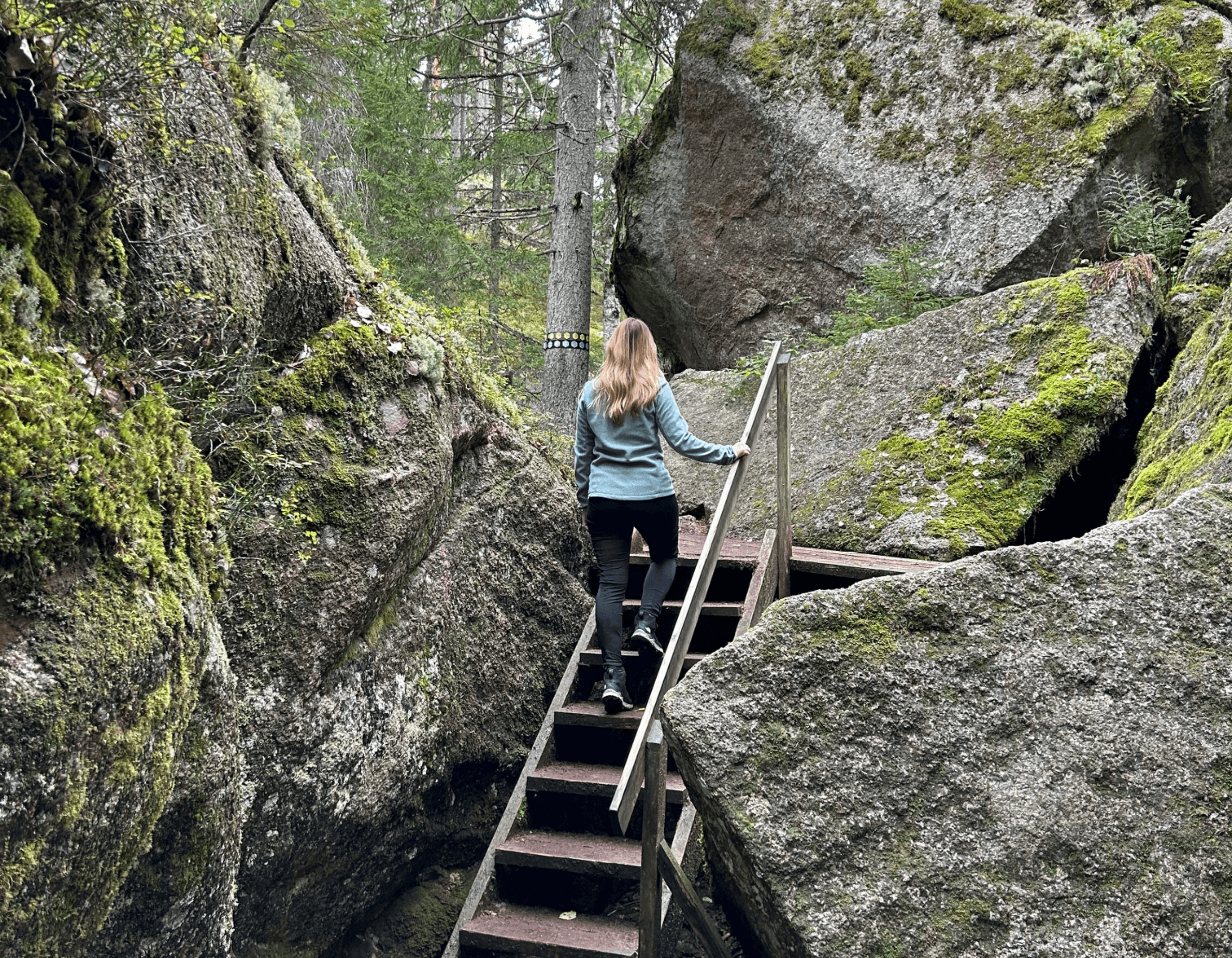 Randonnée à travers une forêt ancienne dans le parc national de Tiveden