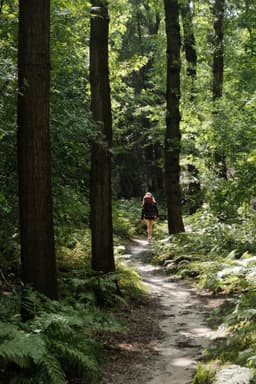 Parc national de Weerribben-Wieden et Giethoorn