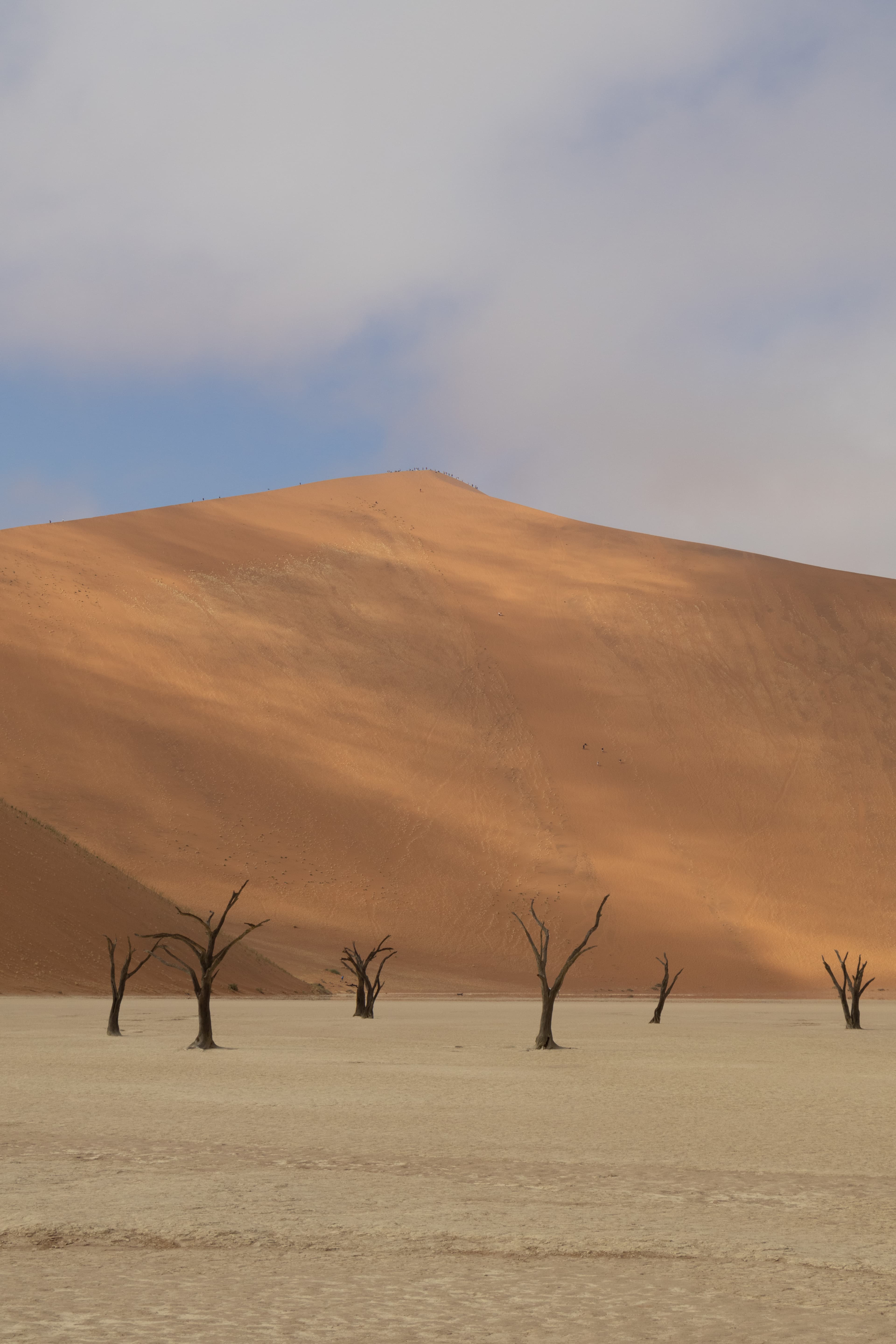 Roadtrip through Namibia