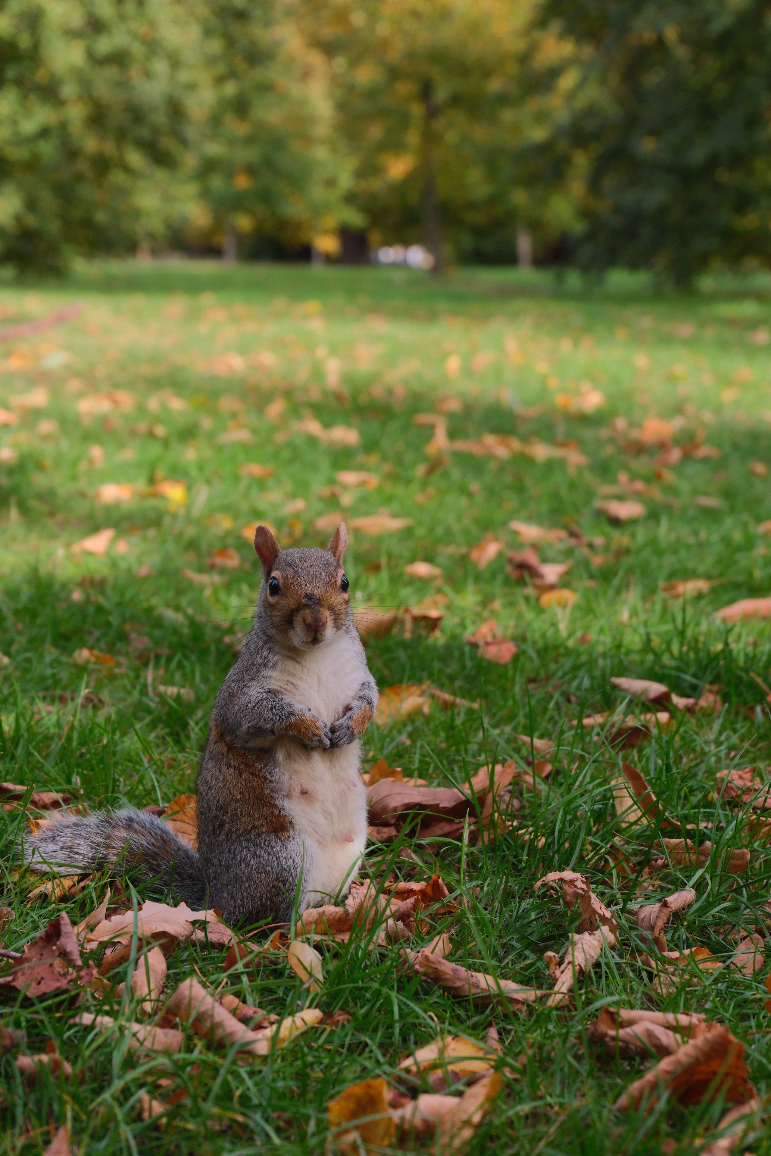 Le meilleur de Londres en 3 jours