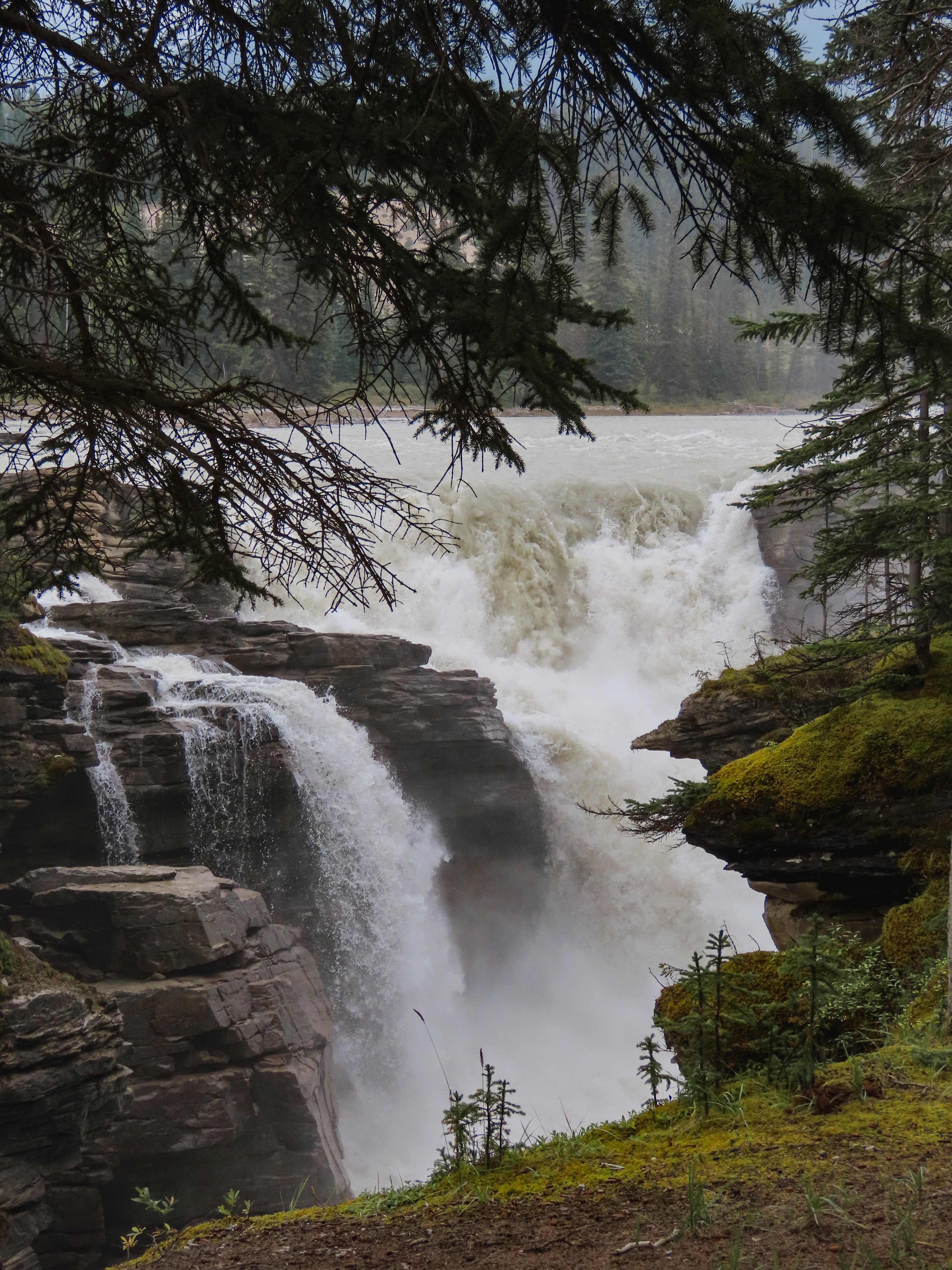Scenic drive along the Icefields Parkway