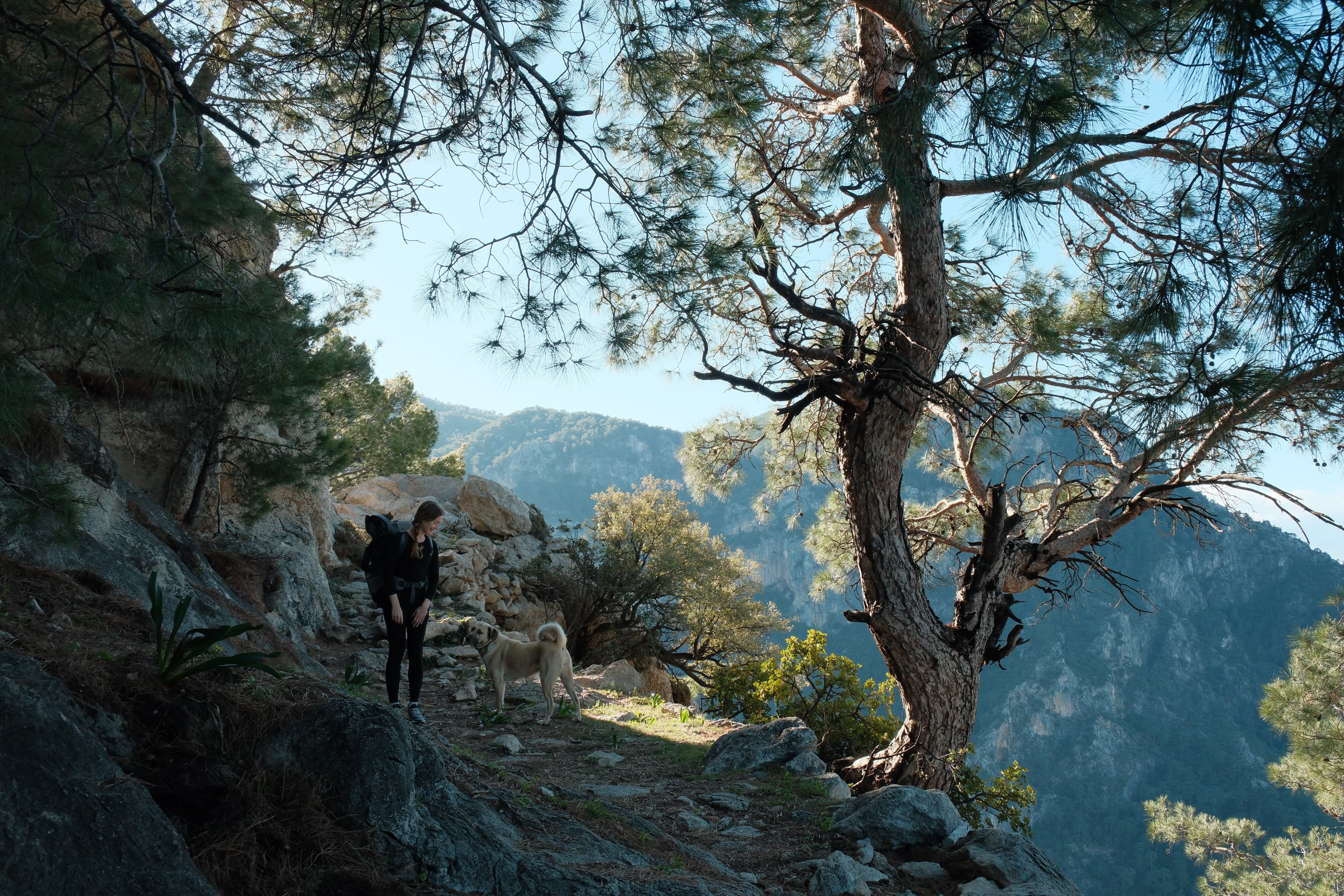 The best of the Lycian Way - Hiking Türkiye's iconic long-distance trail