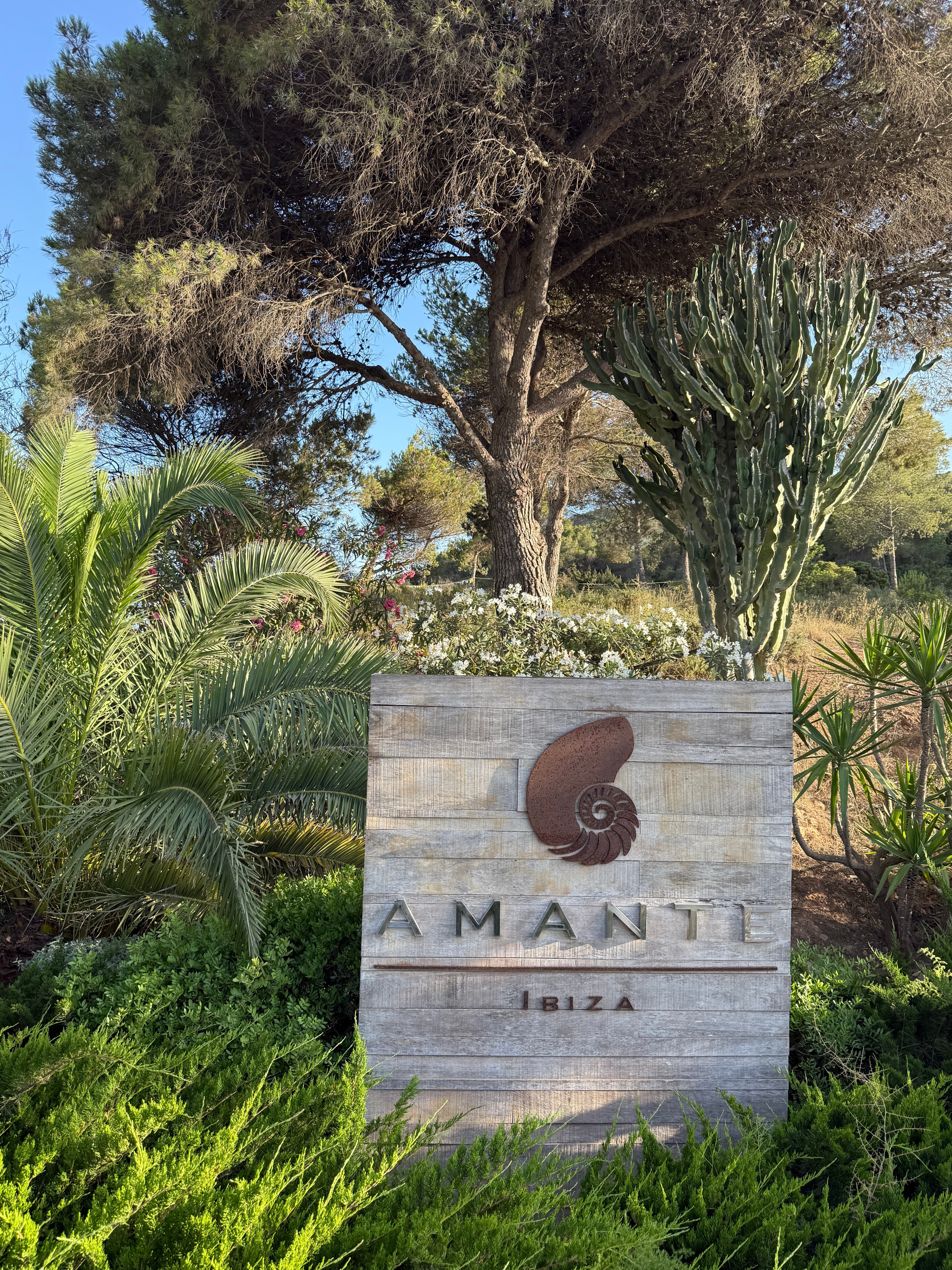 Dîner romantique à Amante