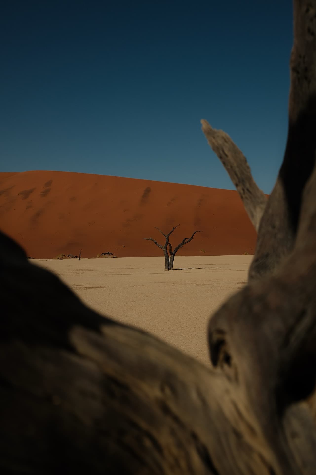 Namibië bucketlist: van Sossusvlei tot Etosha