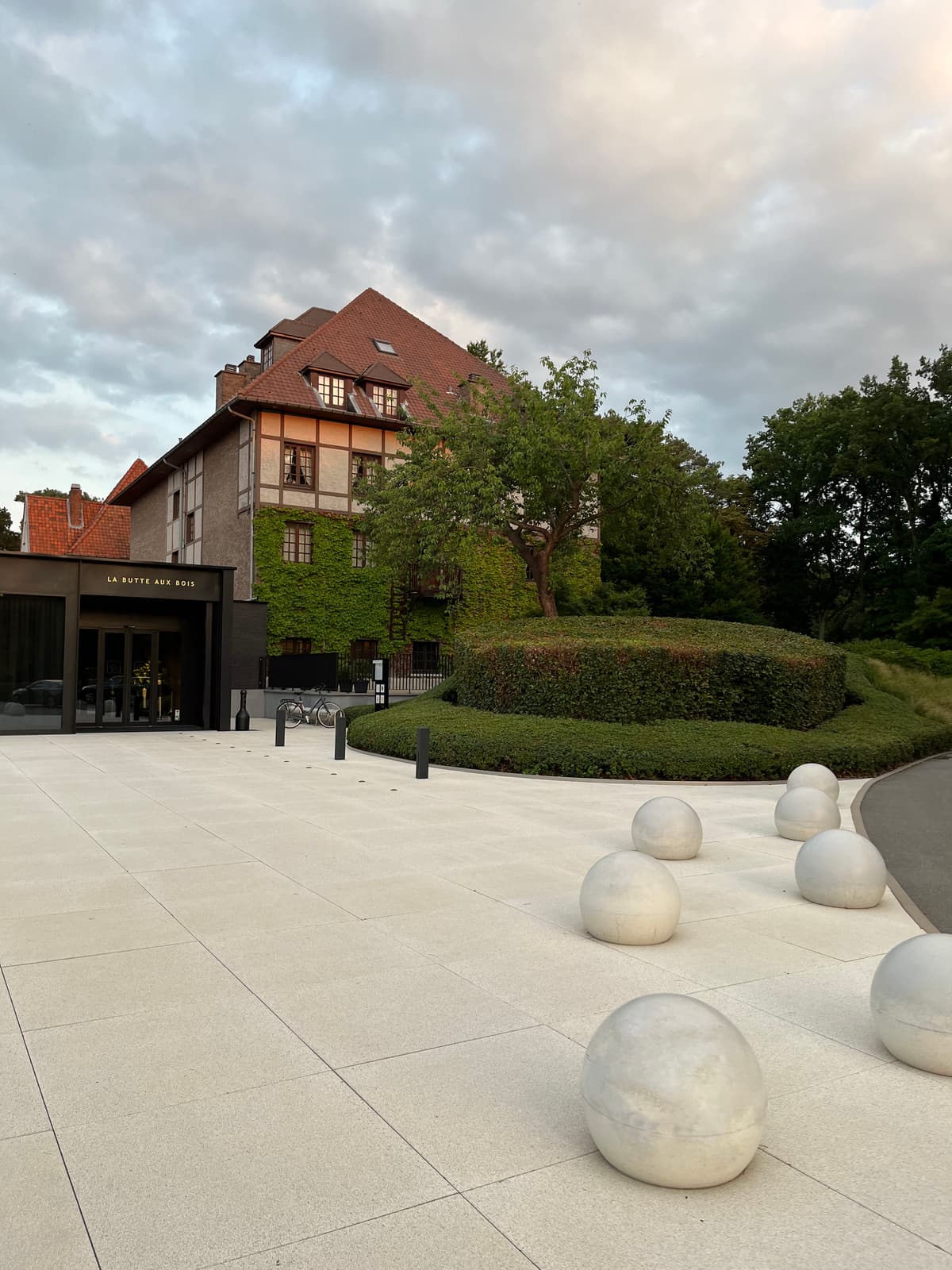 De heuvel van de bossen