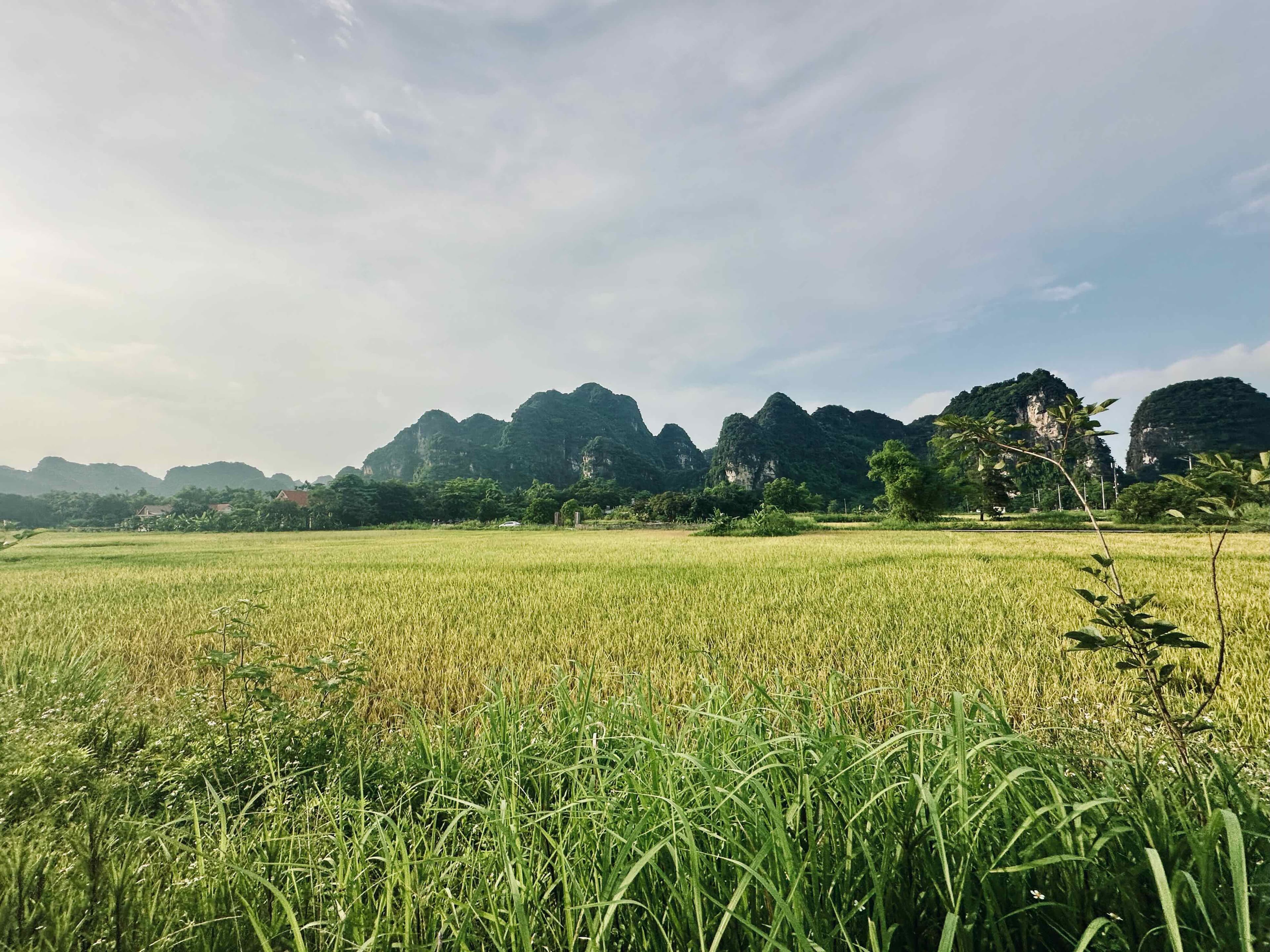 Ninh Binh