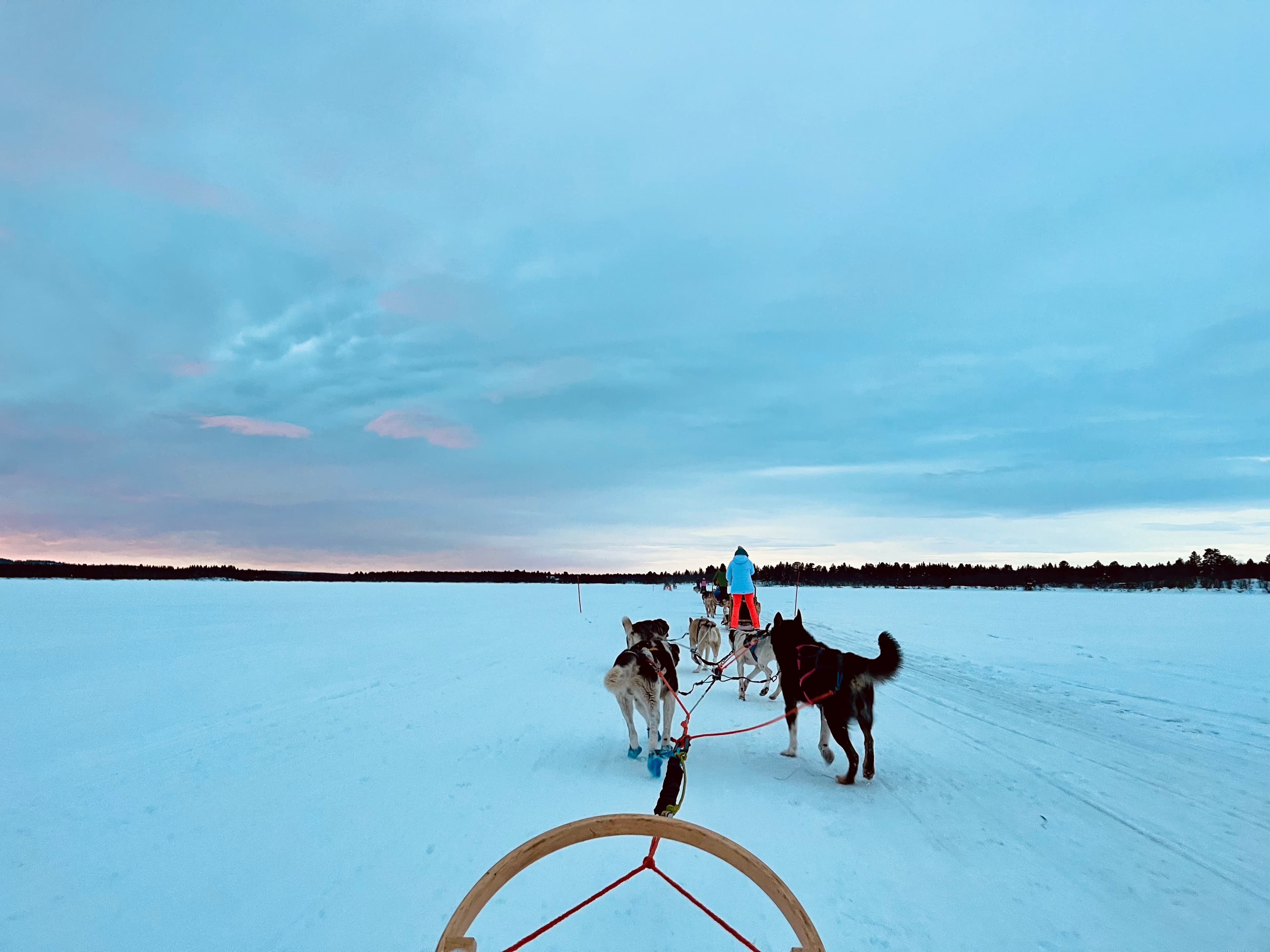 9 Must-Do Activities in Finnish Lapland
